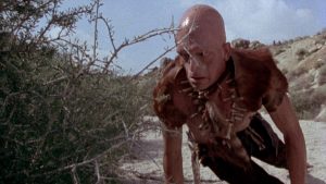 bald man looking at a bush